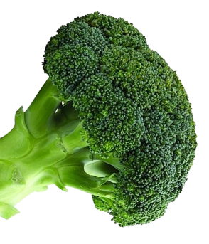 big-broccoli